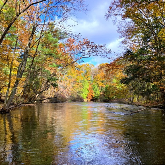 Meet your Posher, Emily - Picture 2 of 5